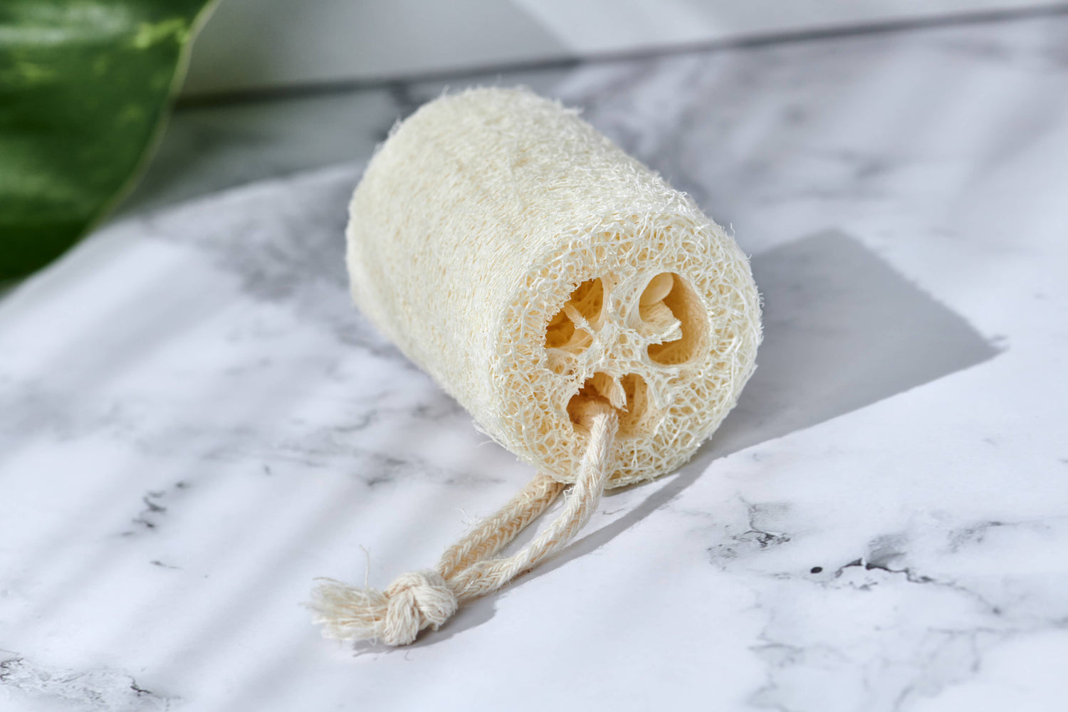 Natural Loofah Sponge - Exfoliating Bath Accessory - Unbranded - Single Piece - Plastic-Free, Biodegradable