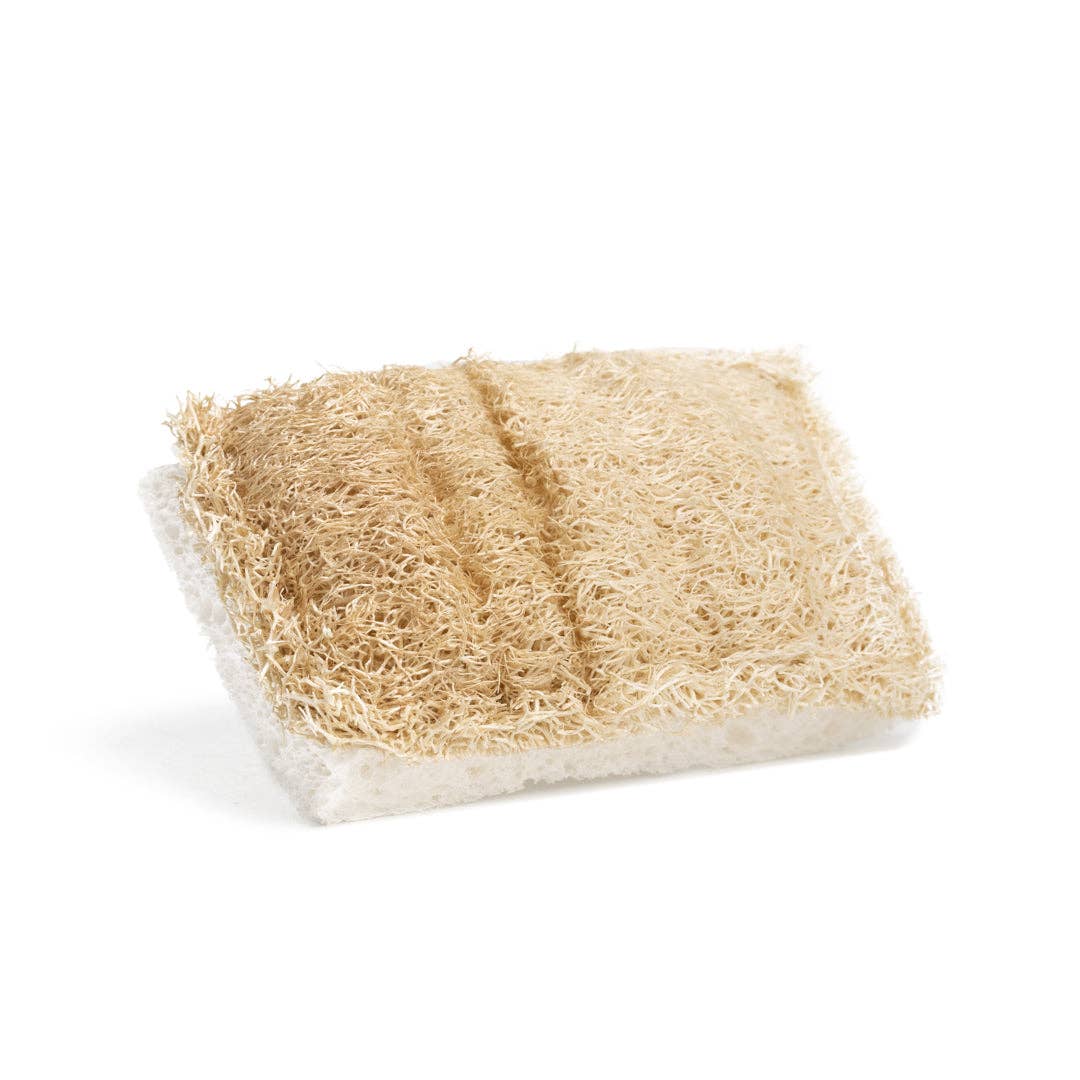 Dish Sponge - Cellulose Fiber - Single-Respectful Goods