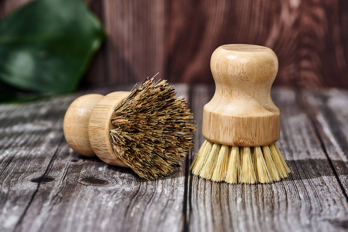 Dish Brush Handless Medium Bristles - Bamboo - Single-Respectful Goods